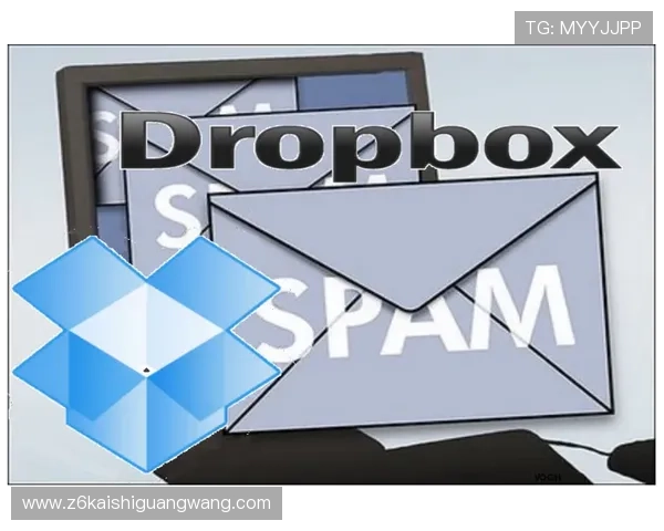 尊龙登录地址安全验证流程详解，保障您的账户安全