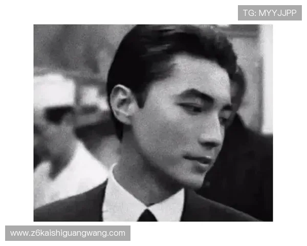 尊龙凯时z6官网下载支持多平台安装与使用的完整操作步骤