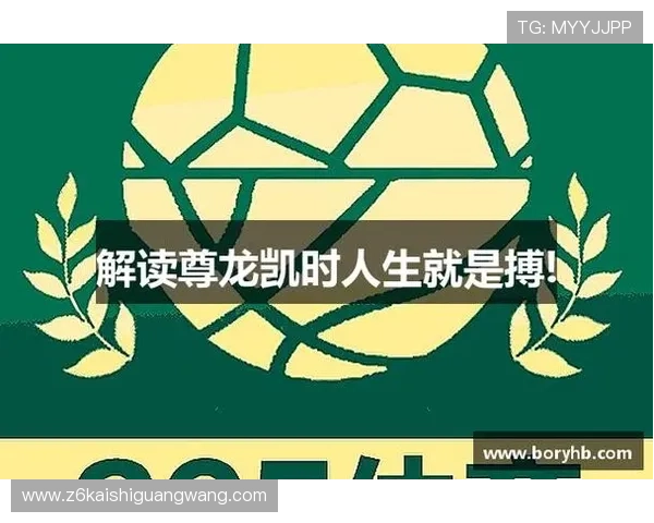 尊龙app客户端平台的用户评价与反馈，了解真实使用体验与改进建议